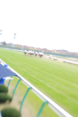 競馬場