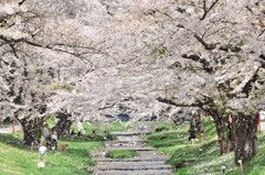 福島　川桁にて