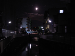月の綺麗な晩に