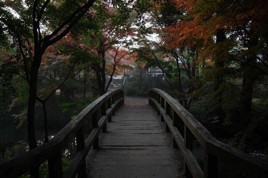 霧道