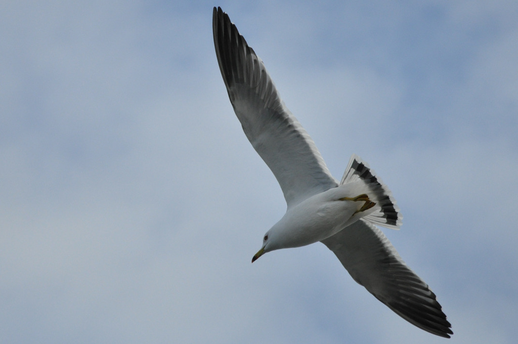 photo449516