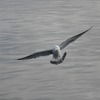 photo449504