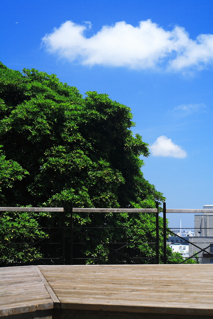 夏休み