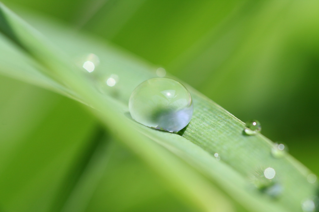 水玉２