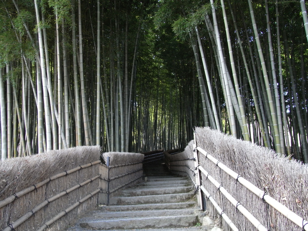 化野念仏寺の奥へ