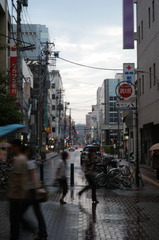 雨でも撮る