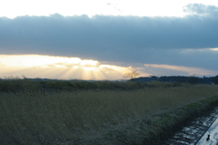 son of a diddly,,, ned ..diddly