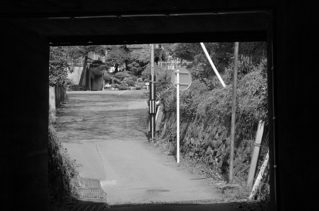 ６×６風に、、なれば、、、って思ったけどならなかったーーー