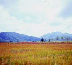 尾瀬パート３，４？