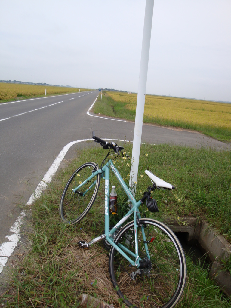 road to  気仙沼