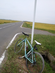 road to  気仙沼