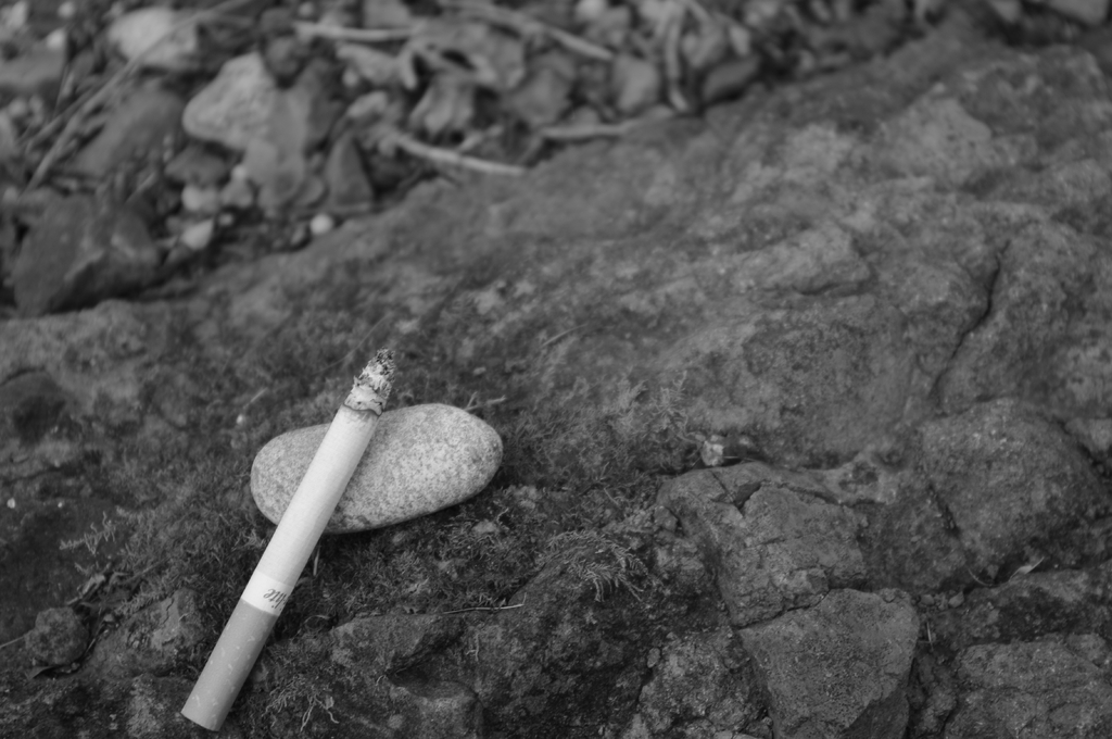 白黒とハイライト