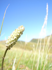 月山にて
