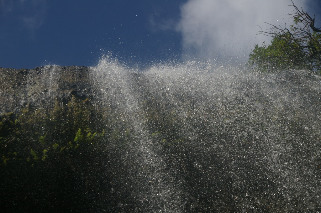 IMGP2297