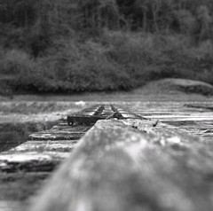 明日に架けるかもしれない橋