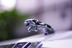 ジャグウァーーー