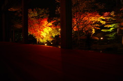 松島は円通院紅葉ライトアップ