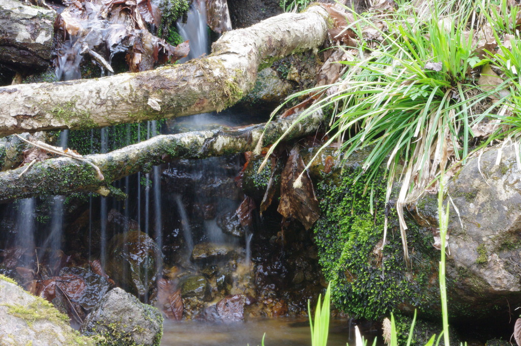 小さい滝みーつけた