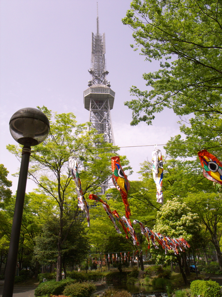 名古屋　セントラルパークの太郎鯉