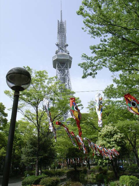 太郎鯉と名古屋