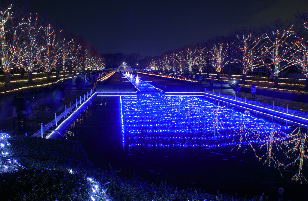 光の庭園