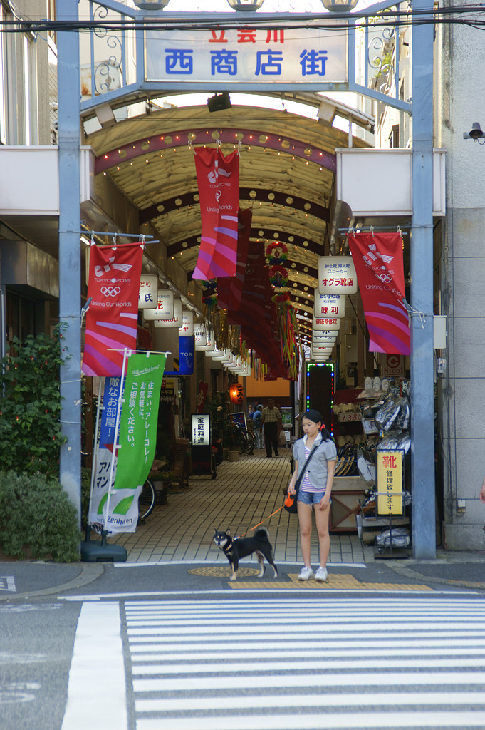 愛犬と信号待ち