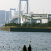 虹橋とカップル