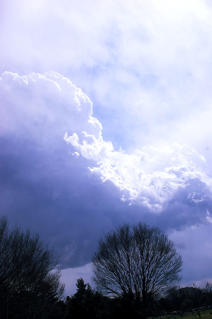 春の空