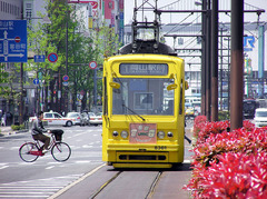 路面電車は往く