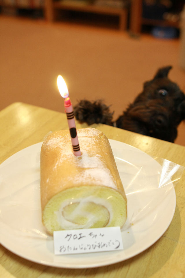 誕生日おめでとう