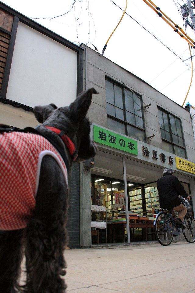 犬と商店街