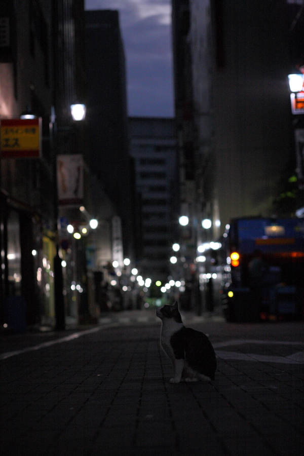 願い