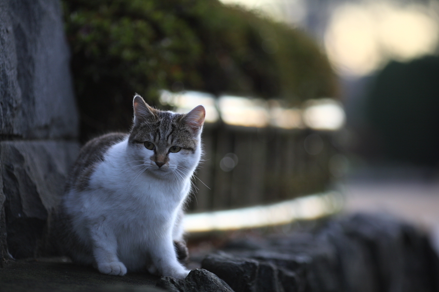 早朝の１コマ