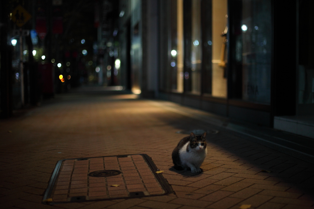 夜のしじまに