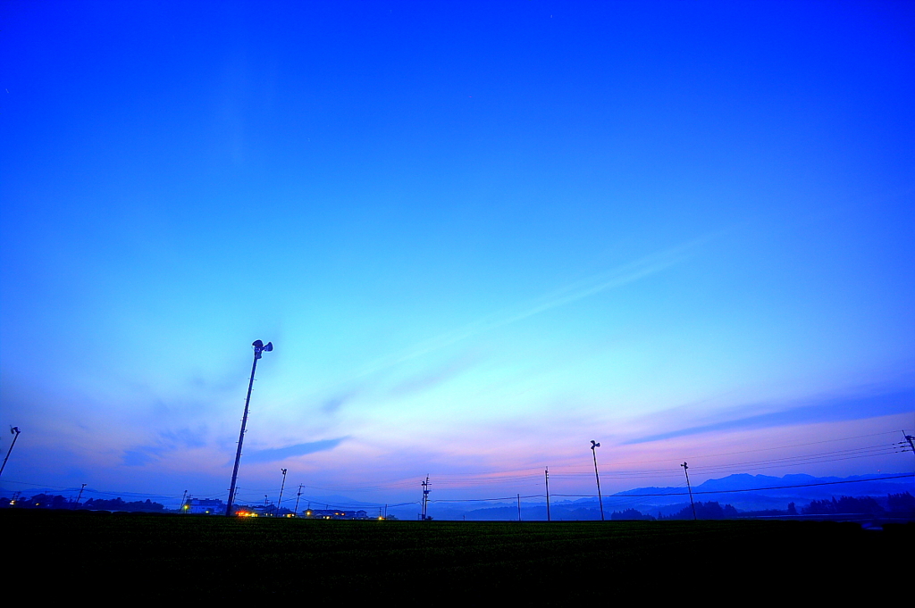 茶畑の夕暮れ