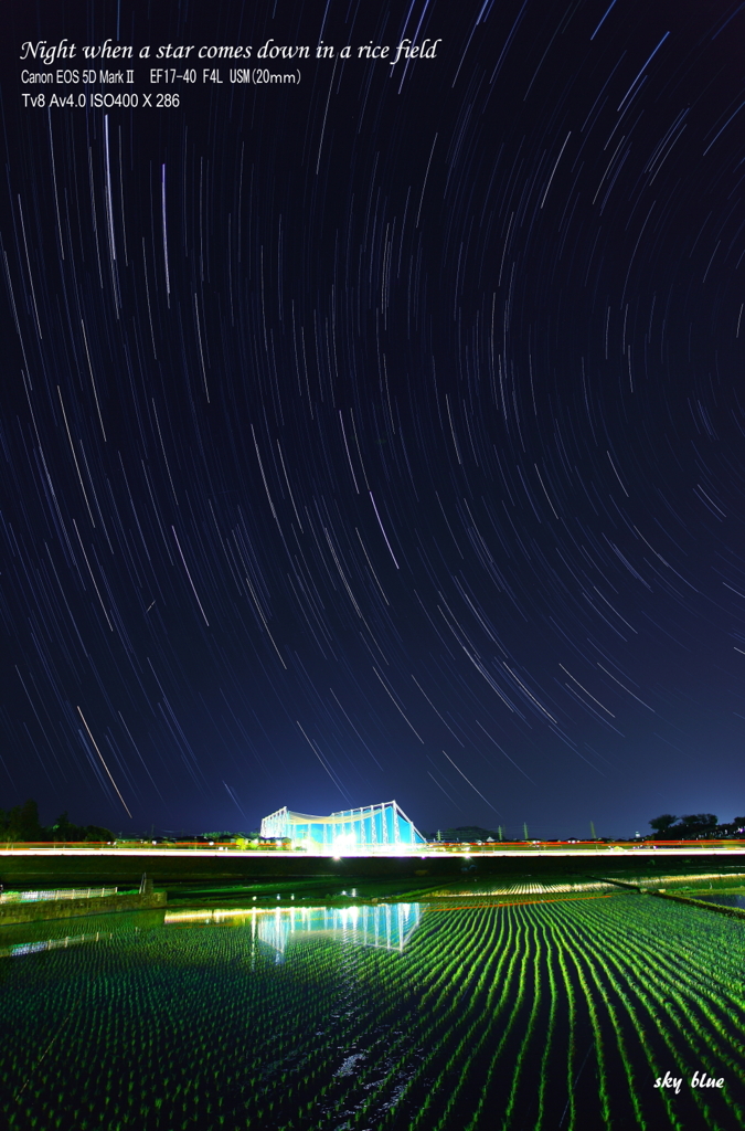 田に星が降る夜