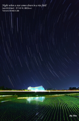 田に星が降る夜