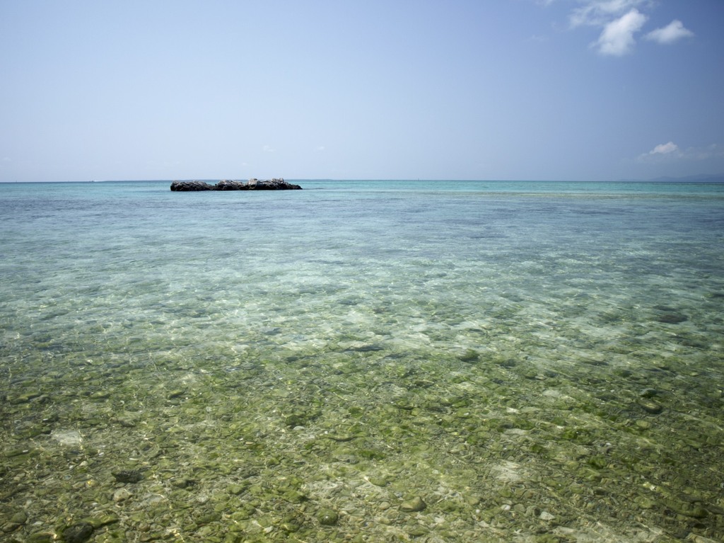 beauty of the sea