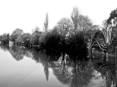 reflection on the water