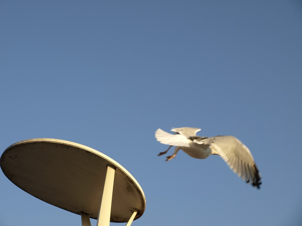 take off