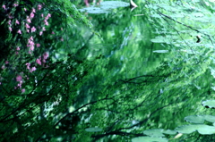 鏡の湖