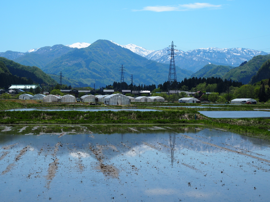 春の白峰にて