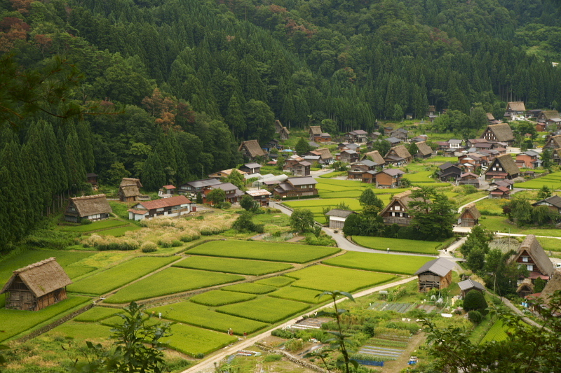 展望台から