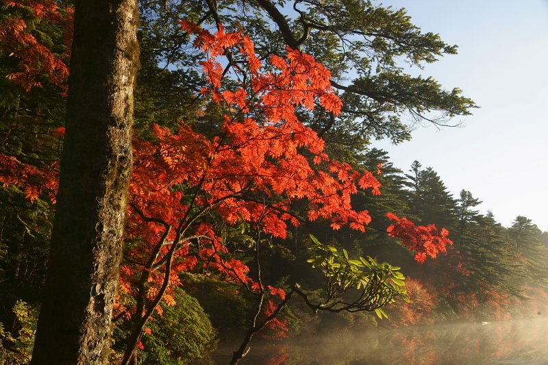 朝日を受けて