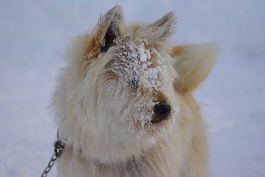 暴風雪その1