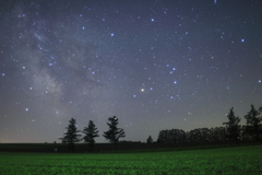 星空と緑一色の麦