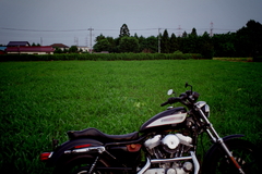 相棒