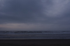 IMGP3542