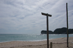 IMGP3774