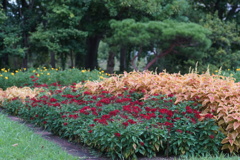 DSC00201